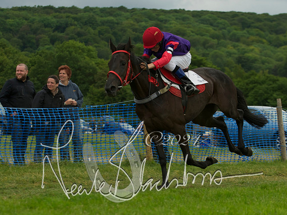 Pony Race - 11