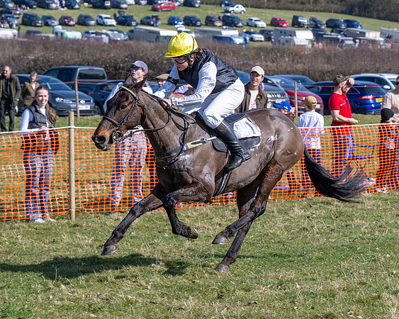 Pony Race 3 - 148cm (75 of 110)