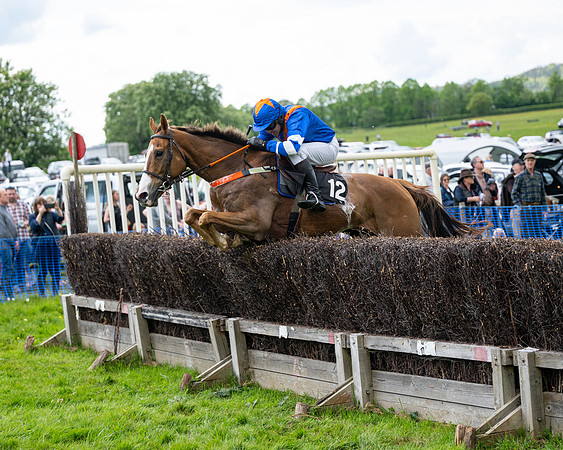 Race 5  - Maiden  (41 of 84)
