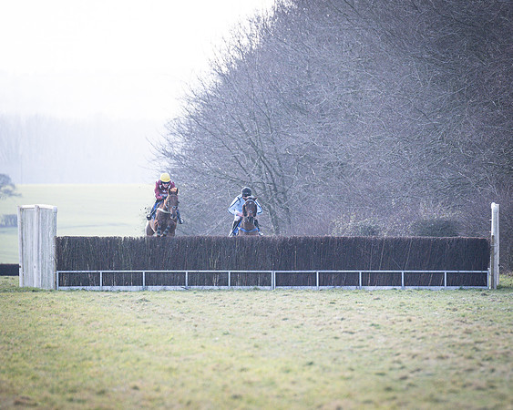 Race 6 - PPORA Novice Riders (22 of 95)