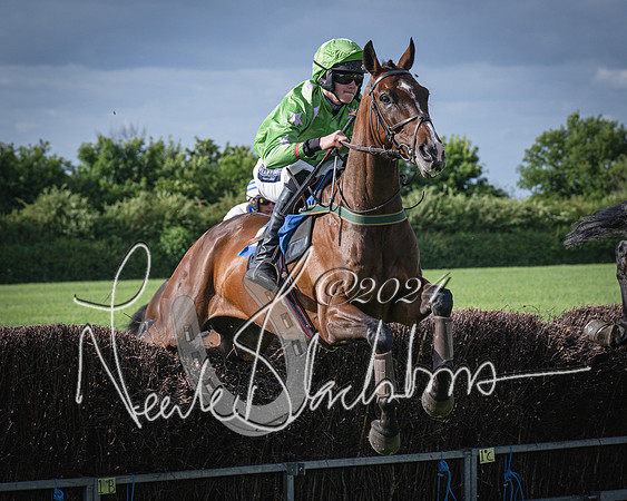 Race 6 - Thorn Plant Hire Maiden Race (53 of 129)