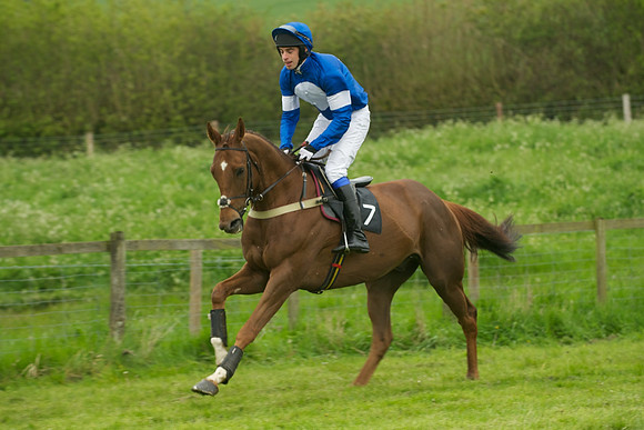 Race 2 - Novices 5