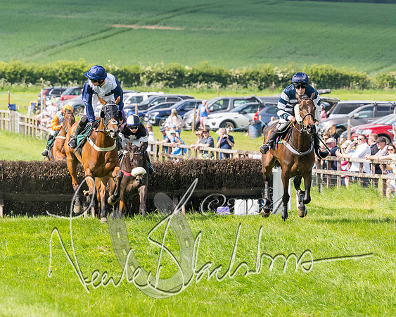 Race 4 - PPORA Novice Riders Final  (151 of 362)