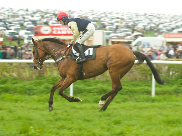 Old Berks at Lockinge Mixed Open Race