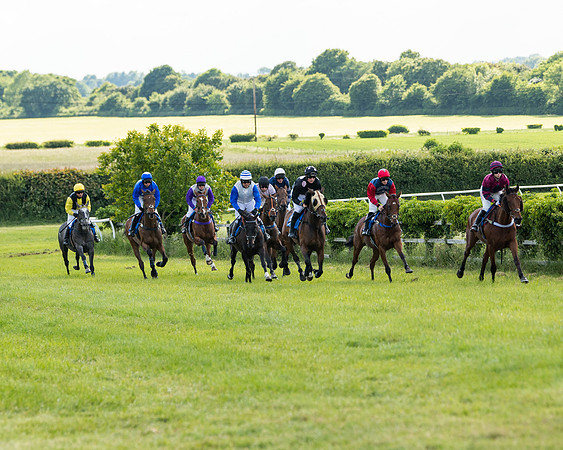 Race 6 - Open Maiden (83 of 227)