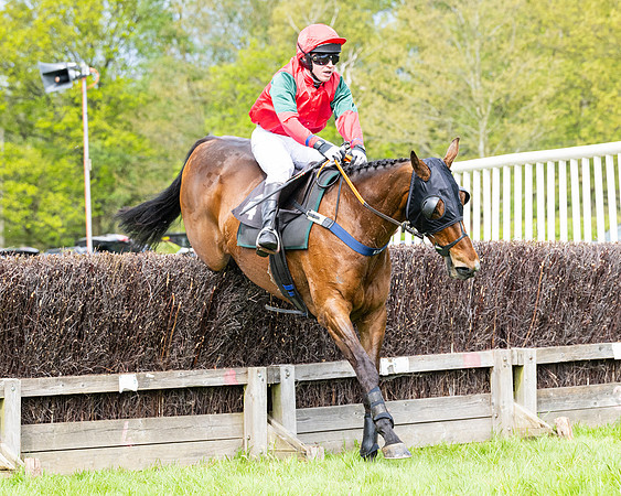 Race 2 - Veteran Horse (80 of 80)