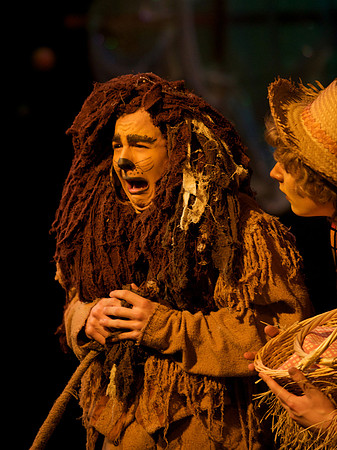 The Wizard of OZ -  159