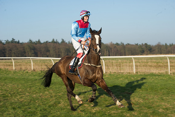 Races 6 - Open Maiden 6