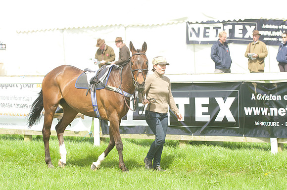 Pony Race - 3    2