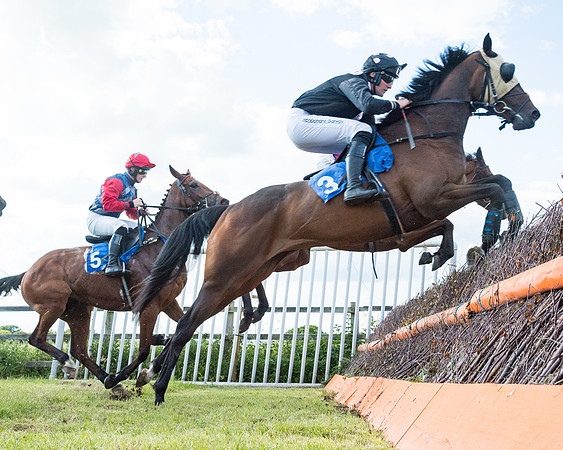 Race 6 - Open Maiden (89 of 227)