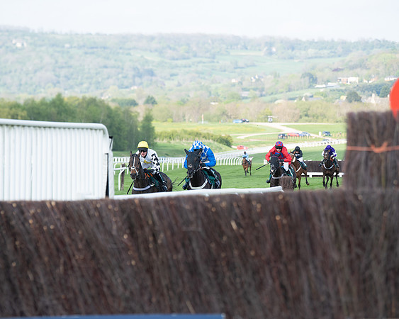 Race 1 - The open Hunter chase  (50 of 95)