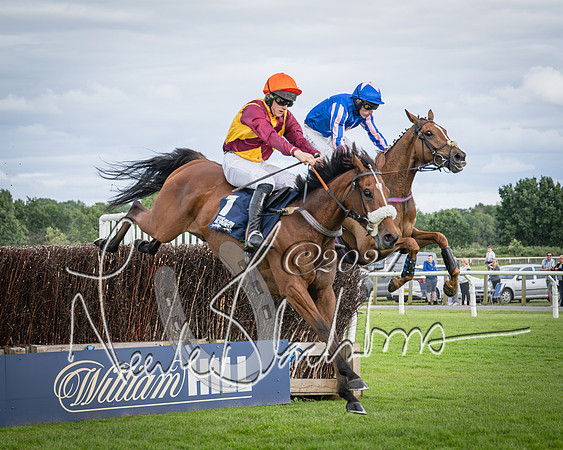 Race 1 - Pointing Pointers Restricted Final (52 of 79)