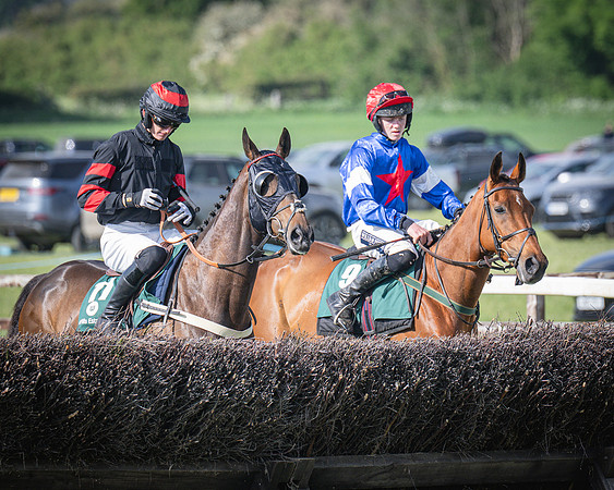 Race 6 - 2m5f Conditions (32 of 70)