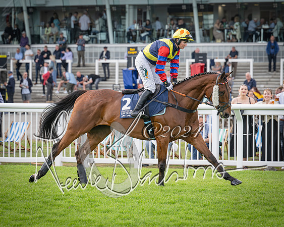 Race 2 - Olly Murphy Racing Stratford Ladies Open (42 of 111)