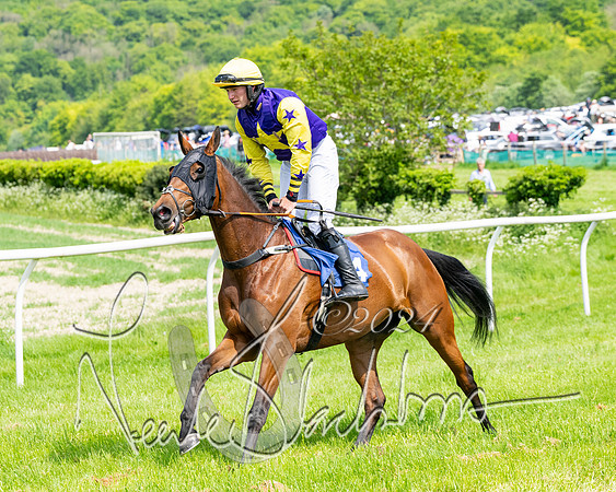 Race 2 - Restricted  (150 of 308)