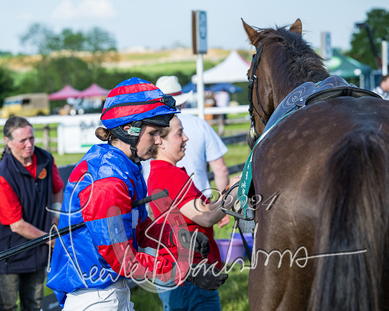 Race 7 - Veteran Horse (208 of 246)