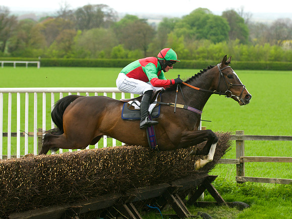 Kimblewick Hunts Point to Point at Kingston Blount Racecourse on Saturday 12th April 2014 Race 1 Confined Hunts Race.