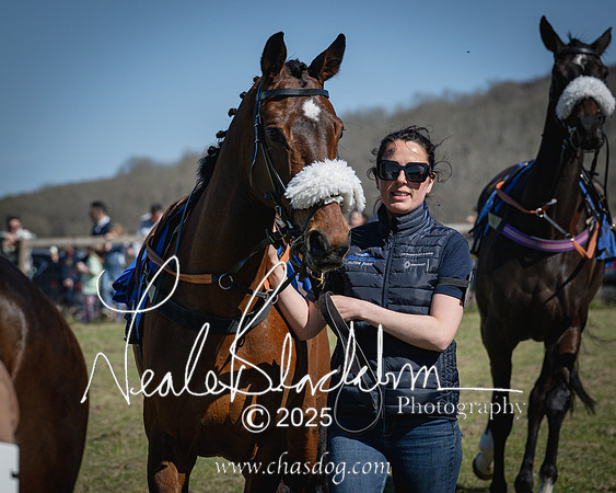 Race 2 - The Maiden (20 of 118)