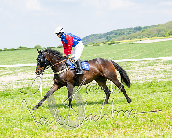 RAce 1 - Conditionsn [Level 2] (55 of 219)