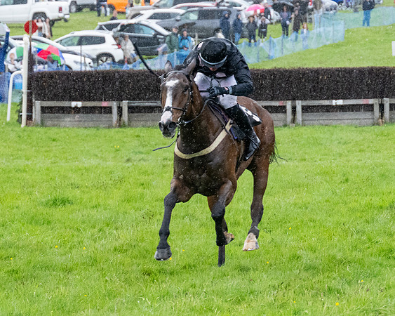 Race 7 - Bumper Div 1  (82 of 107)
