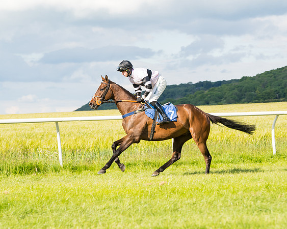 Race 6 - Open Maiden (48 of 227)