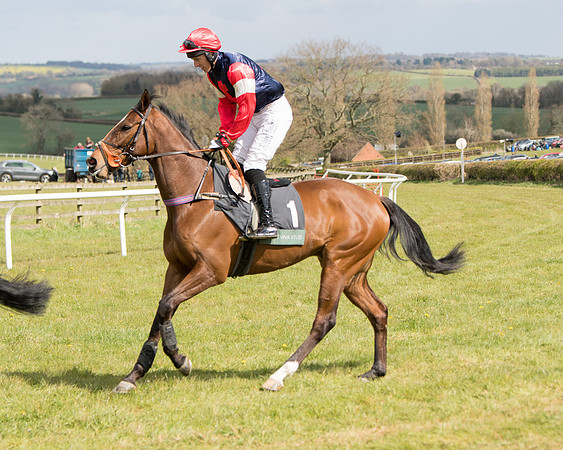 Race 2 - Young Horse Maiden (28 of 104)