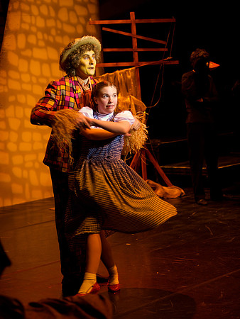 The Wizard of OZ -  113