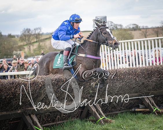 Race 2 - Tattersalls Cheltenham 4 year old Maiden (68 of 85)