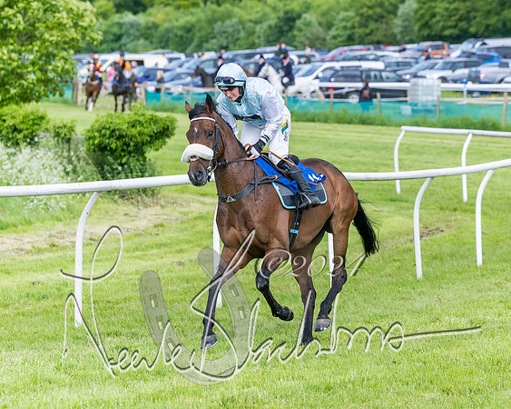Race 5 - Restricted Race (133 of 434)