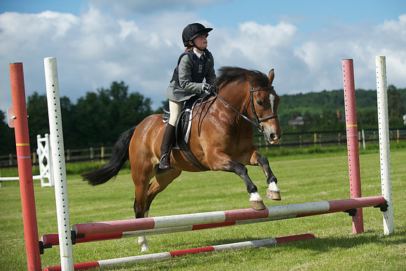 SOHS PC Summer Show at BCA 17th June 2012