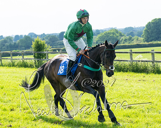 Race 5  - Maiden race 2m5F Div-2 (60 of 205)