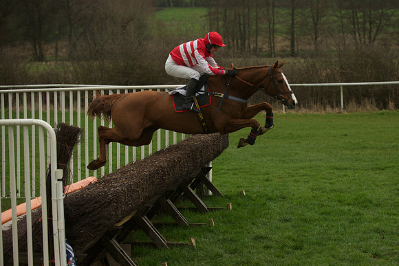 Race 5 - 62