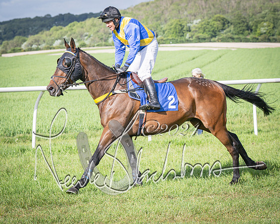 Race 6 - Thorn Plant Hire Maiden Race (27 of 129)