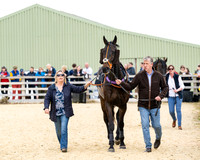 Race 2 - 2M4F Conditions (18 of 195)