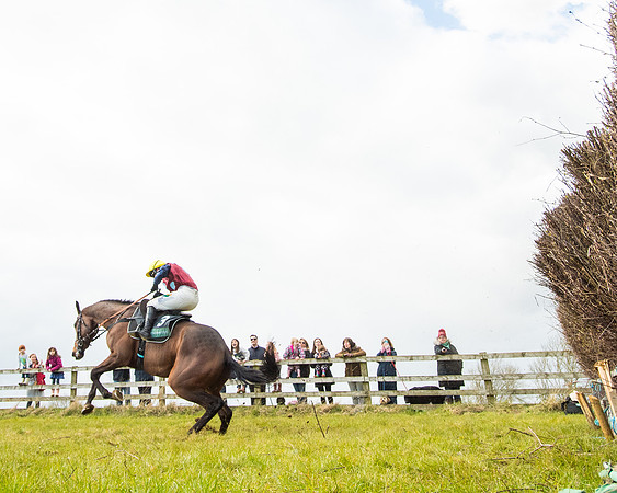 Race 5 - Restricted  (64 of 118)