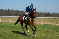Races 2 - Conditions 3