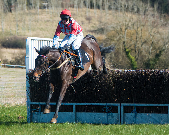 Race 2 - Warwick racecourse conditions  (21 of 122)