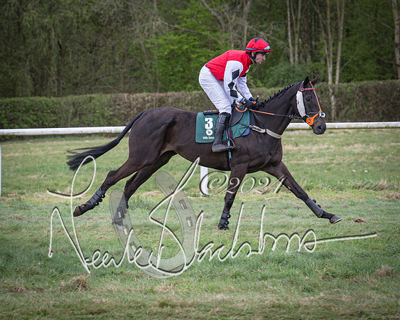 Race 7 - The Jockey Club maiden race for Mares and Fillies only (26 of 96)