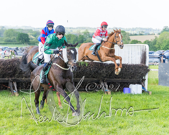 Race 7 - Veteran Horse (36 of 246)