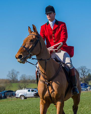 Hunt Horses annd Hound parade (29 of 44)