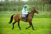 Ponies - 6