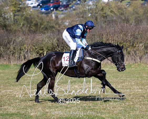 Race 1 - Maiden (44 of 188)