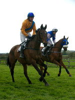 Southern Grand National  12