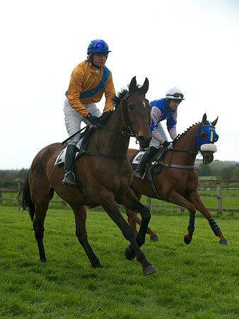 Southern Grand National  12