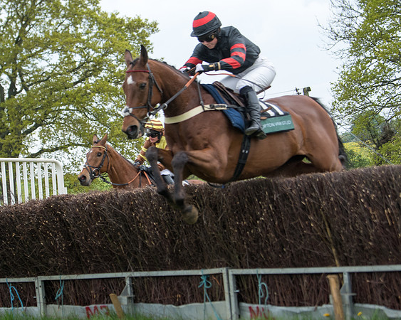 Race 2 - Jockey Club ROR veteran Horse (51 of 104)
