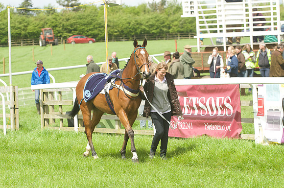 Pony Race - 3    3