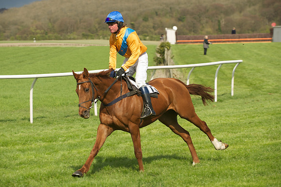 Novice Riders 6