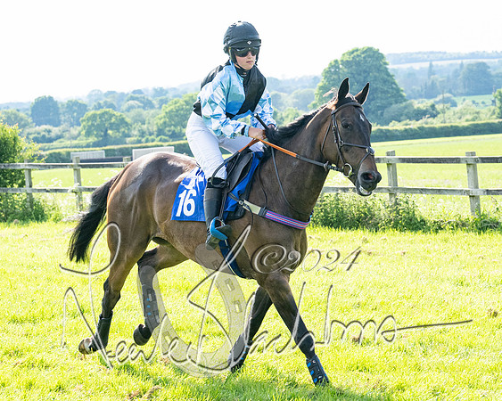 Race 5  - Maiden race 2m5F Div-2 (90 of 205)