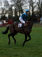 CHHC - Young Horse Maiden Division 1