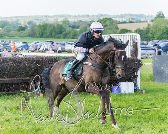 Race 7 - Veteran Horse (47 of 246)